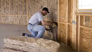 Types of Insulation We Offer in Honokaa, HI